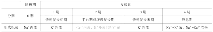 临床执业医师《生理学》考点：心肌的生物电现象和生理特性